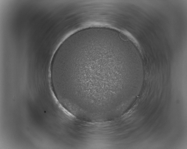 X0000071341287200606261306