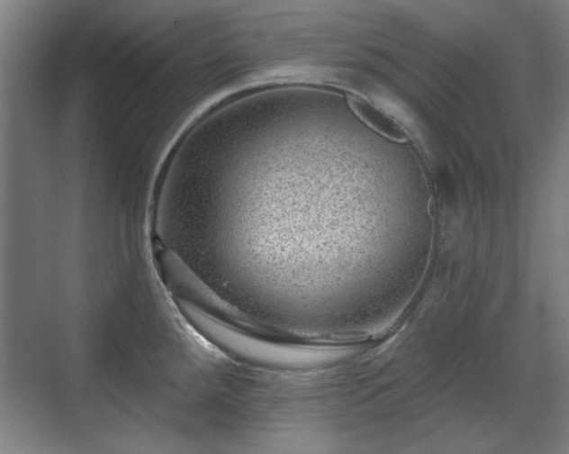 X0000071341288200606261306