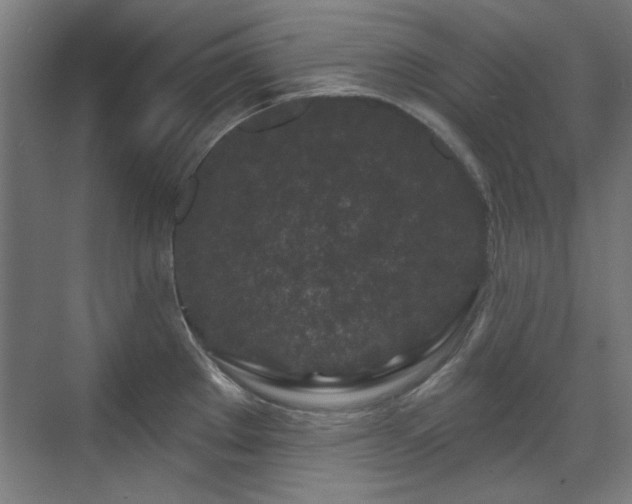 X0000071341289200606261306