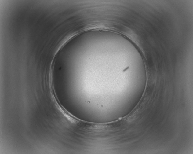 X0000071341290200606261306