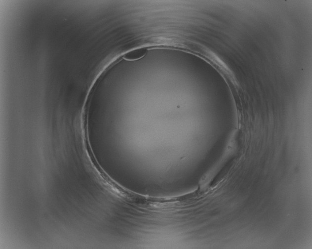 X0000071341291200606261306