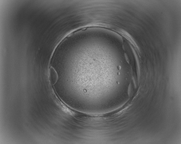 X0000071341292200606261306