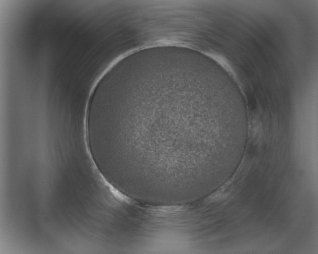 X0000071341294200606261306