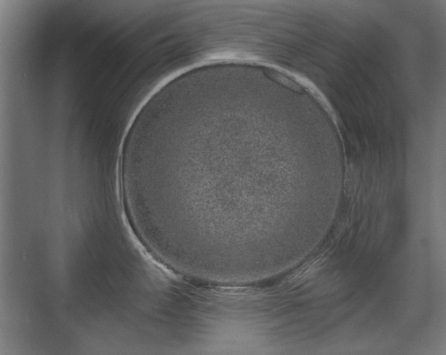 X0000071341295200606261306