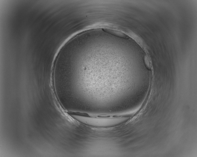 X0000071341296200606261306