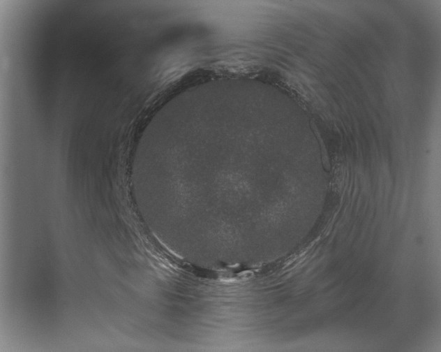 X0000071341297200606261305