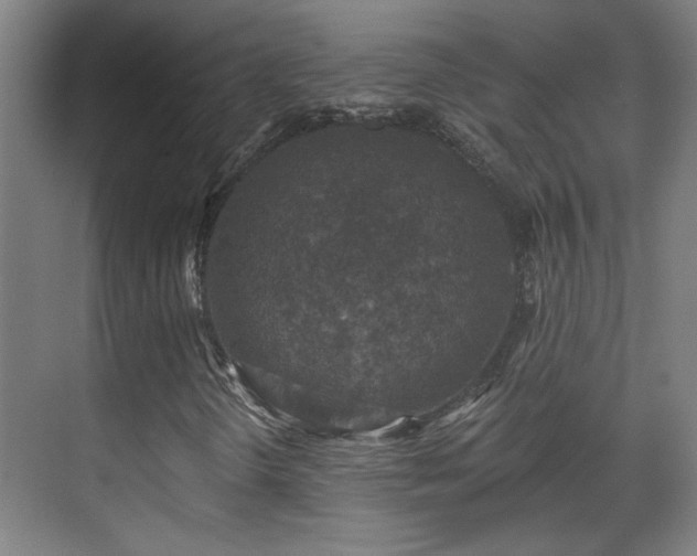 X0000071341298200606261305