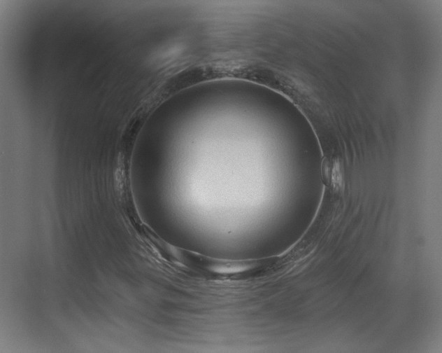 X0000071341299200606261305