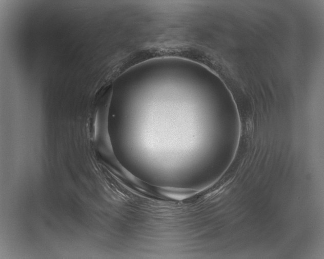 X0000071341300200606261305