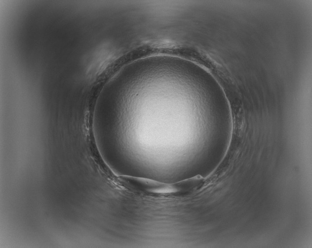 X0000071341301200606261305