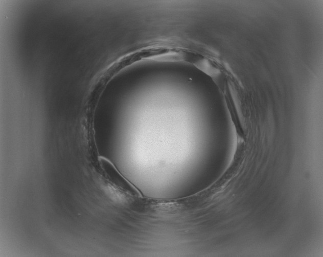 X0000071341304200606261305