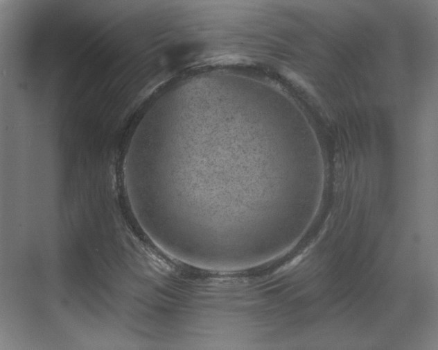 X0000071341305200606261305