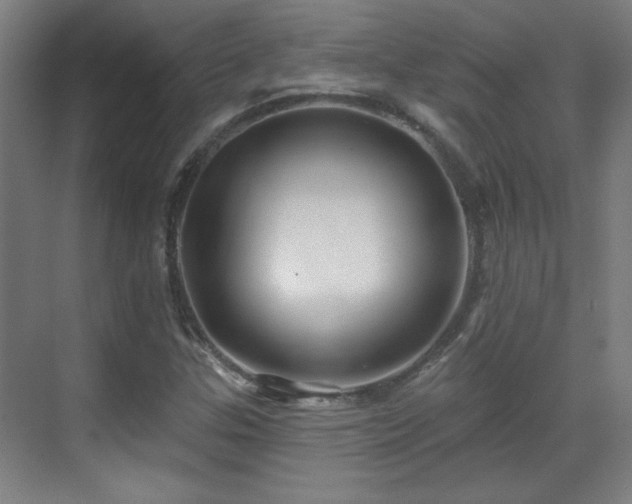 X0000071341307200606261305