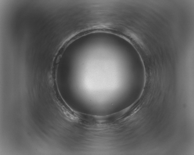 X0000071341308200606261305