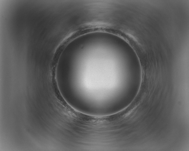 X0000071341309200606261305