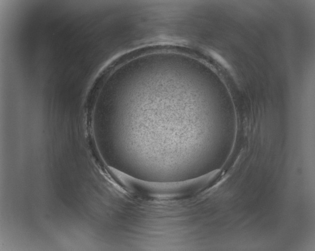 X0000071341310200606261305