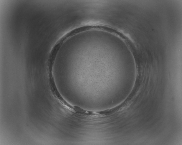 X0000071341311200606261305