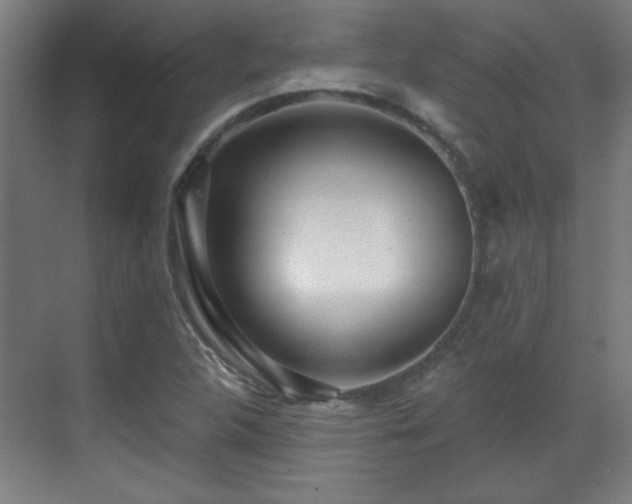 X0000071341312200606261305