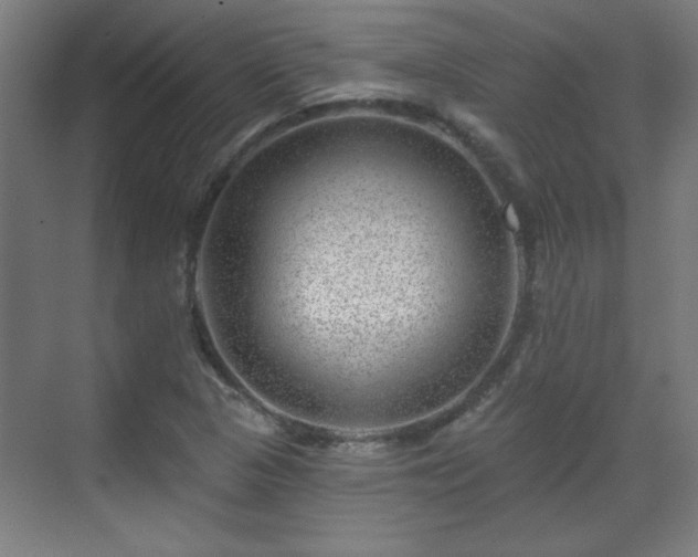 X0000071341313200606261305