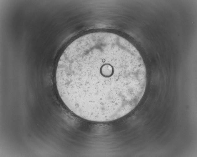 X0000071341314200606261305