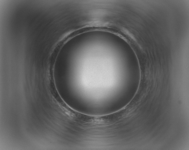 X0000071341315200606261305