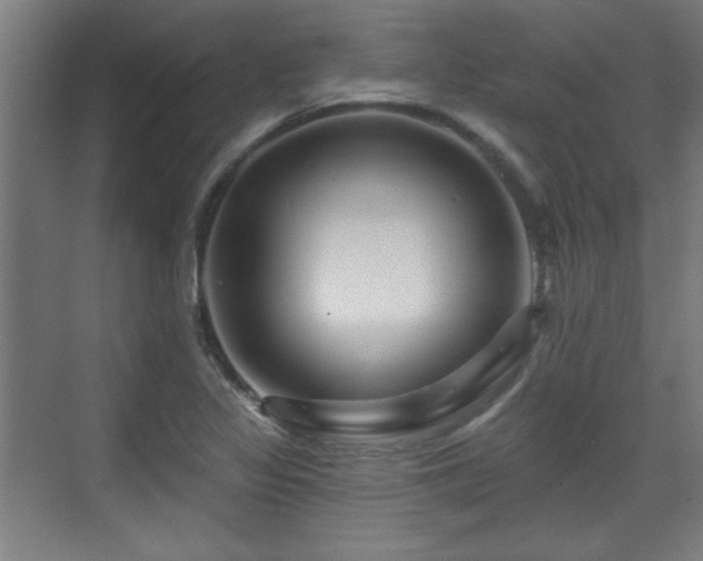 X0000071341317200606261305