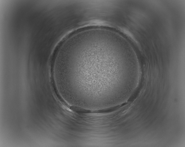 X0000071341318200606261305