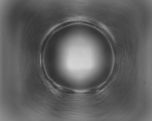 X0000071341320200606261305