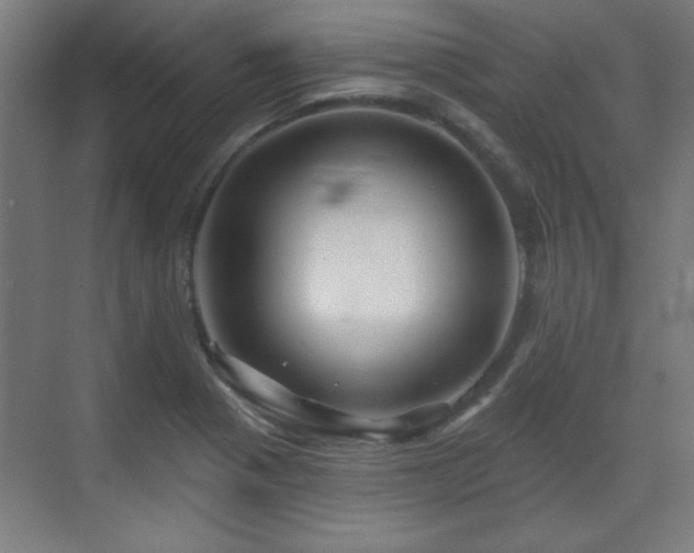 X0000071341321200606261305