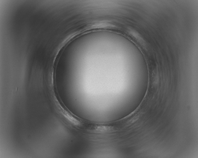 X0000071341322200606261305