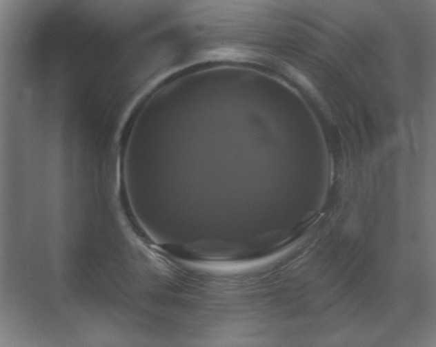 X0000071341323200606261305