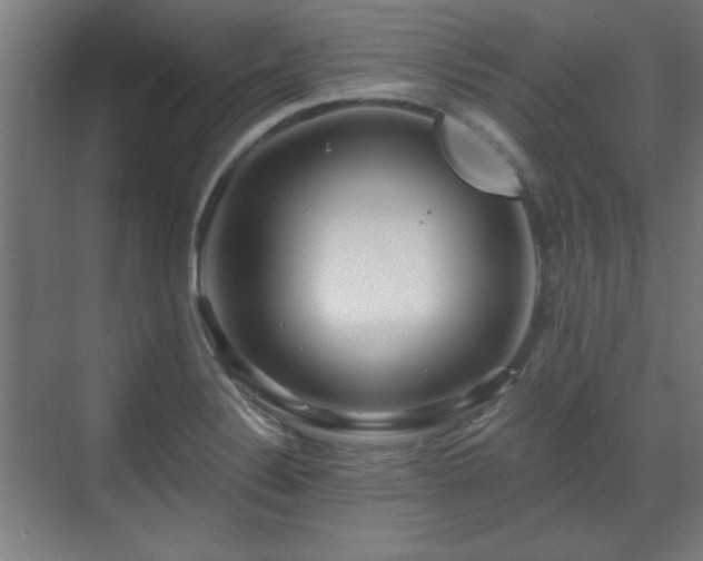 X0000071341324200606261305