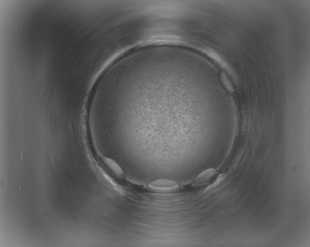 X0000071341325200606261305