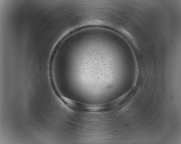 X0000071341326200606261305