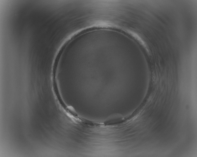 X0000071341327200606261305