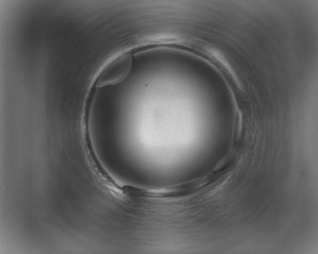 X0000071341328200606261305