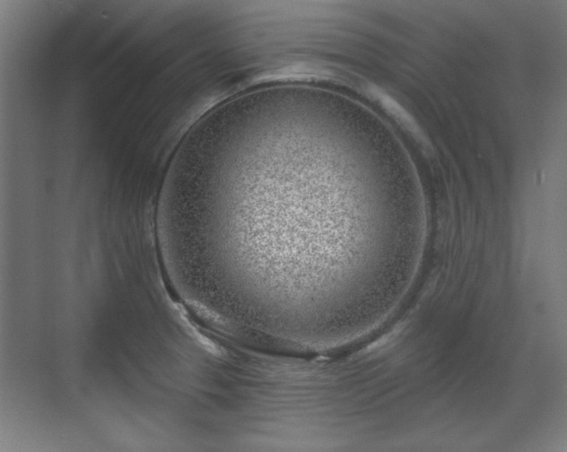 X0000071341329200606261305