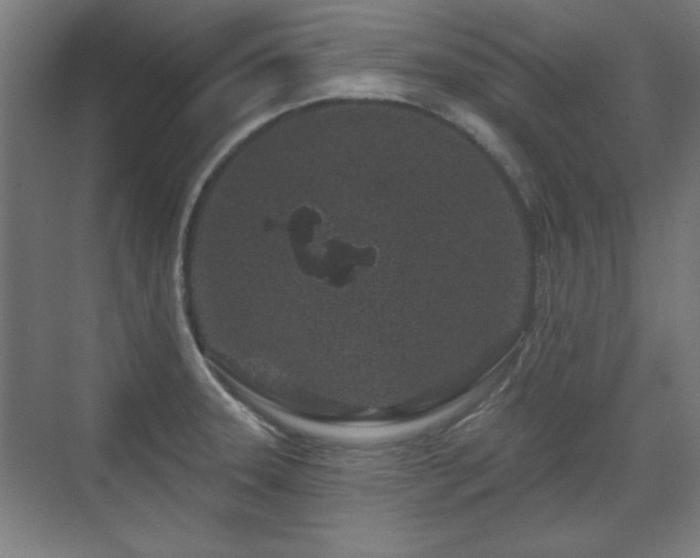 X0000071341331200606261305