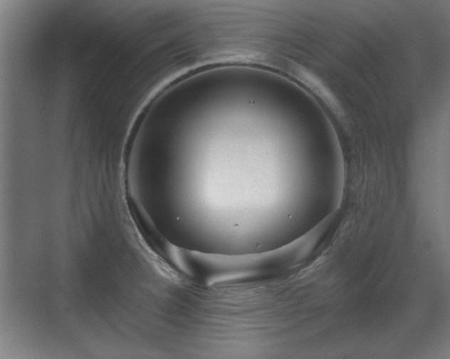 X0000071341332200606261305