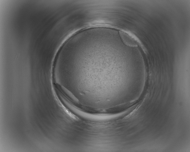 X0000071341333200606261305