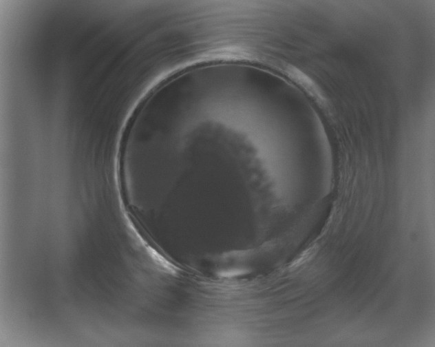 X0000071341334200606261305