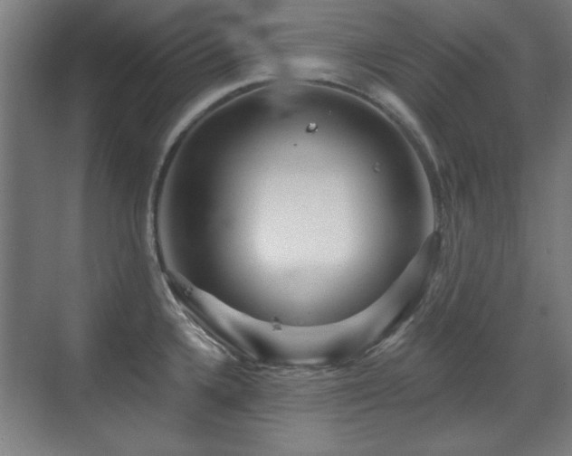 X0000071341336200606261306