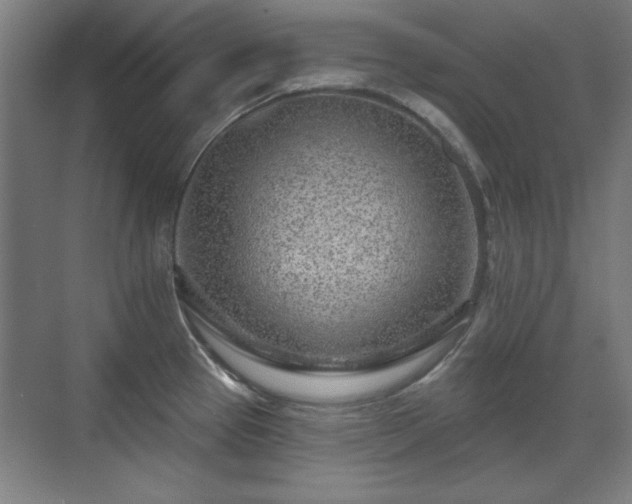 X0000071341337200606261306