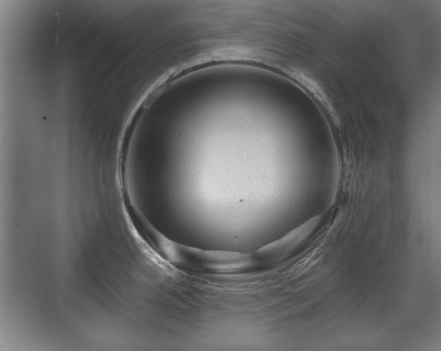 X0000071341342200606261306