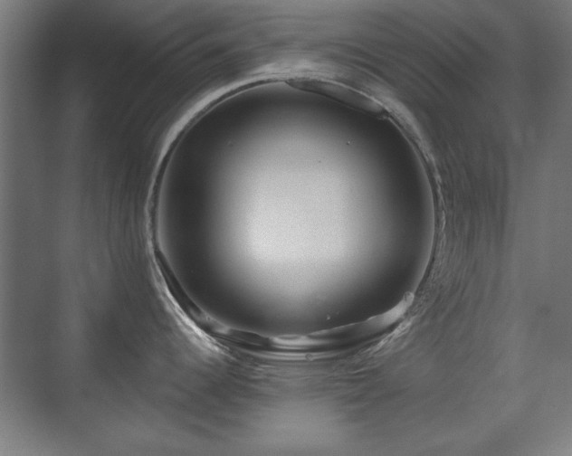 X0000071341344200606261306