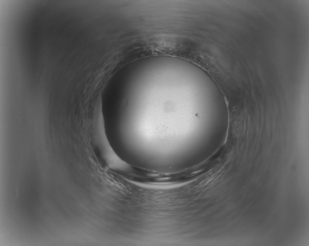 X0000071341345200606261305