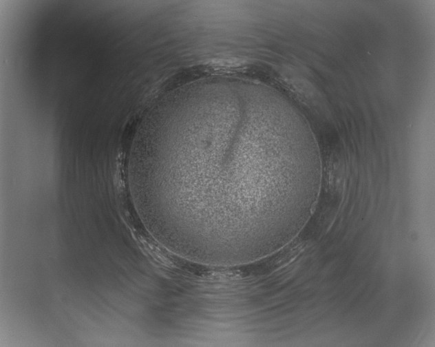 X0000071341346200606261305