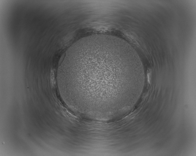 X0000071341347200606261305