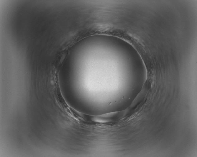 X0000071341349200606261305