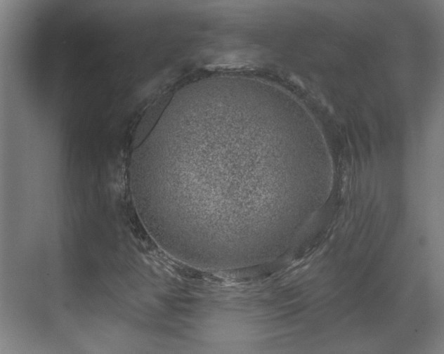 X0000071341350200606261305